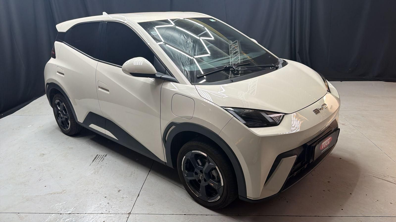 BYD Dolphin Mini GS EV 2025