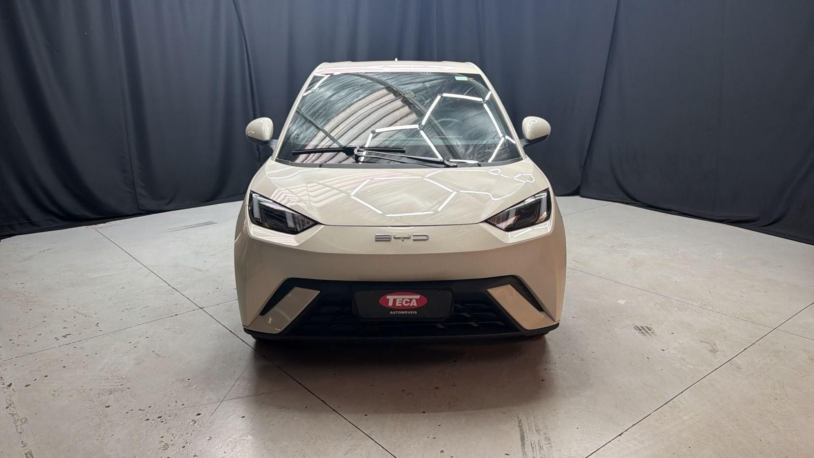 BYD Dolphin Mini GS EV 2025 - miniatura 2