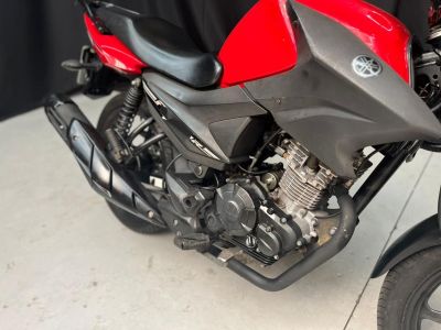 YAMAHA YBR 150 ED Factor 2021 - miniatura 6