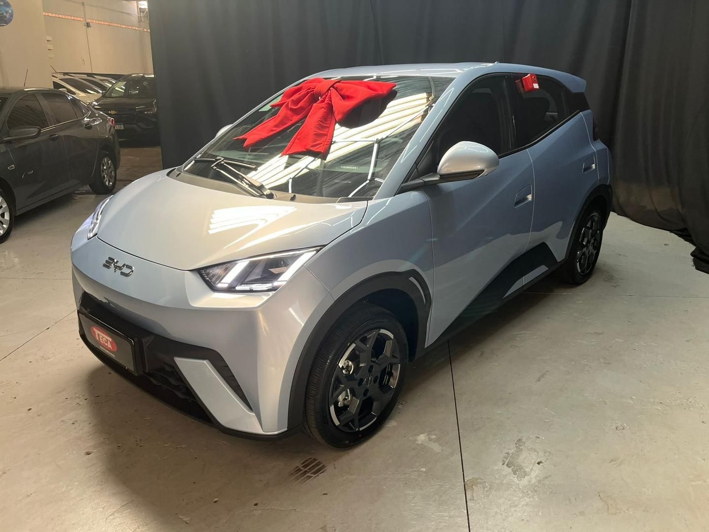 BYD Dolphin Mini GS EV 2027 - miniatura 3