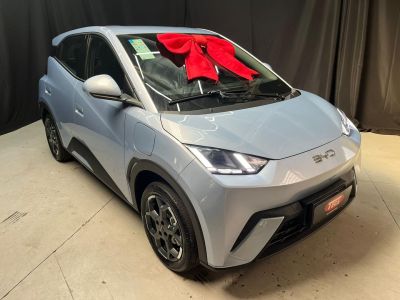 BYD Dolphin Mini GS EV 2027