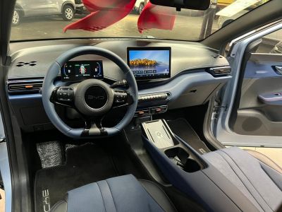 BYD Dolphin Mini GS EV 2027 - miniatura 13