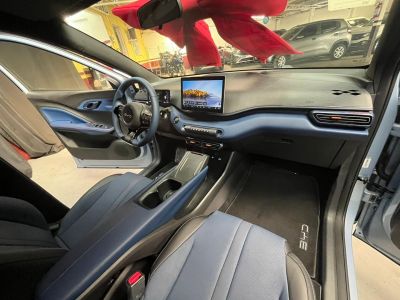 BYD Dolphin Mini GS EV 2027 - miniatura 16