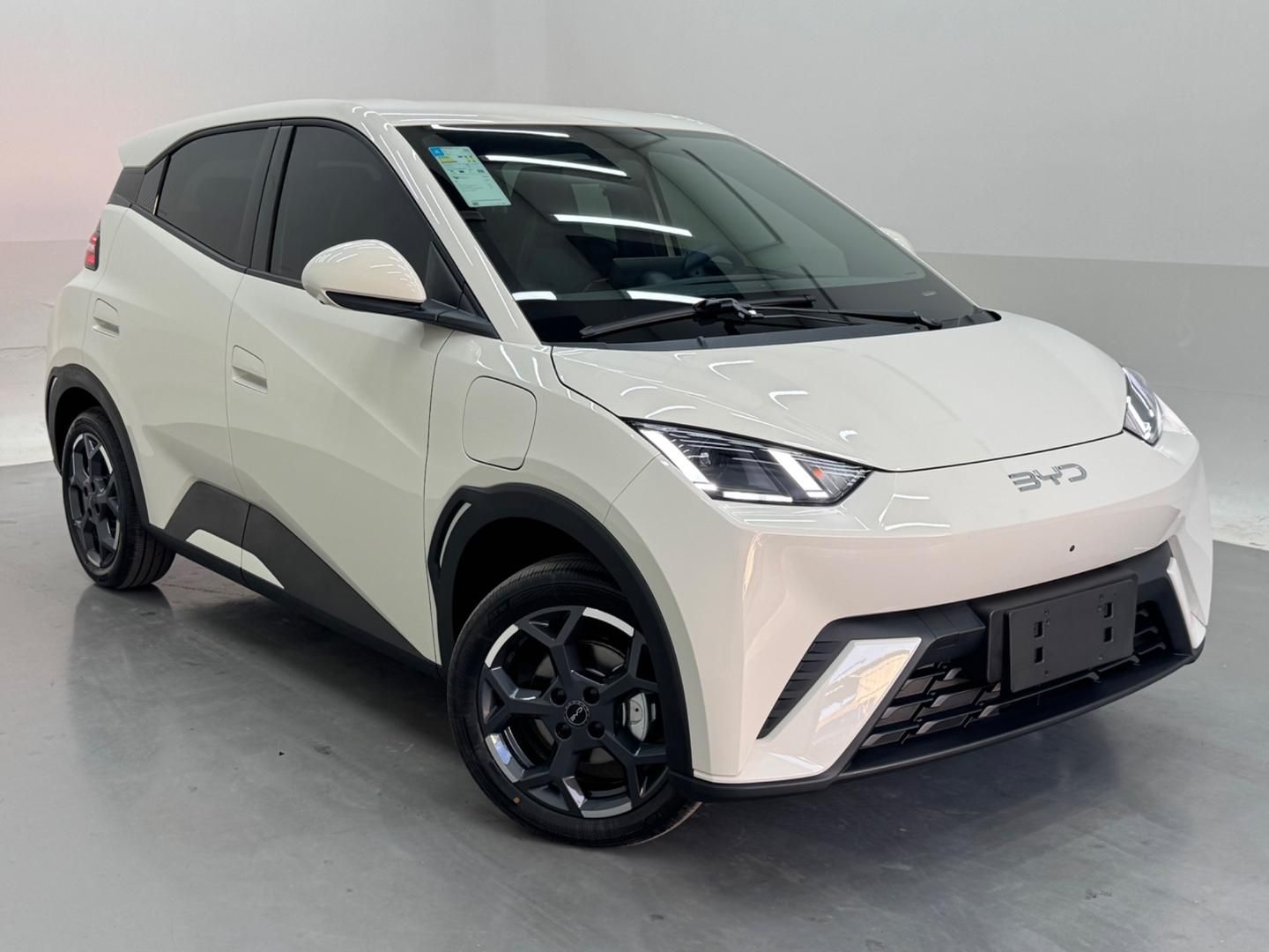 BYD Dolphin Mini GS EV 2027