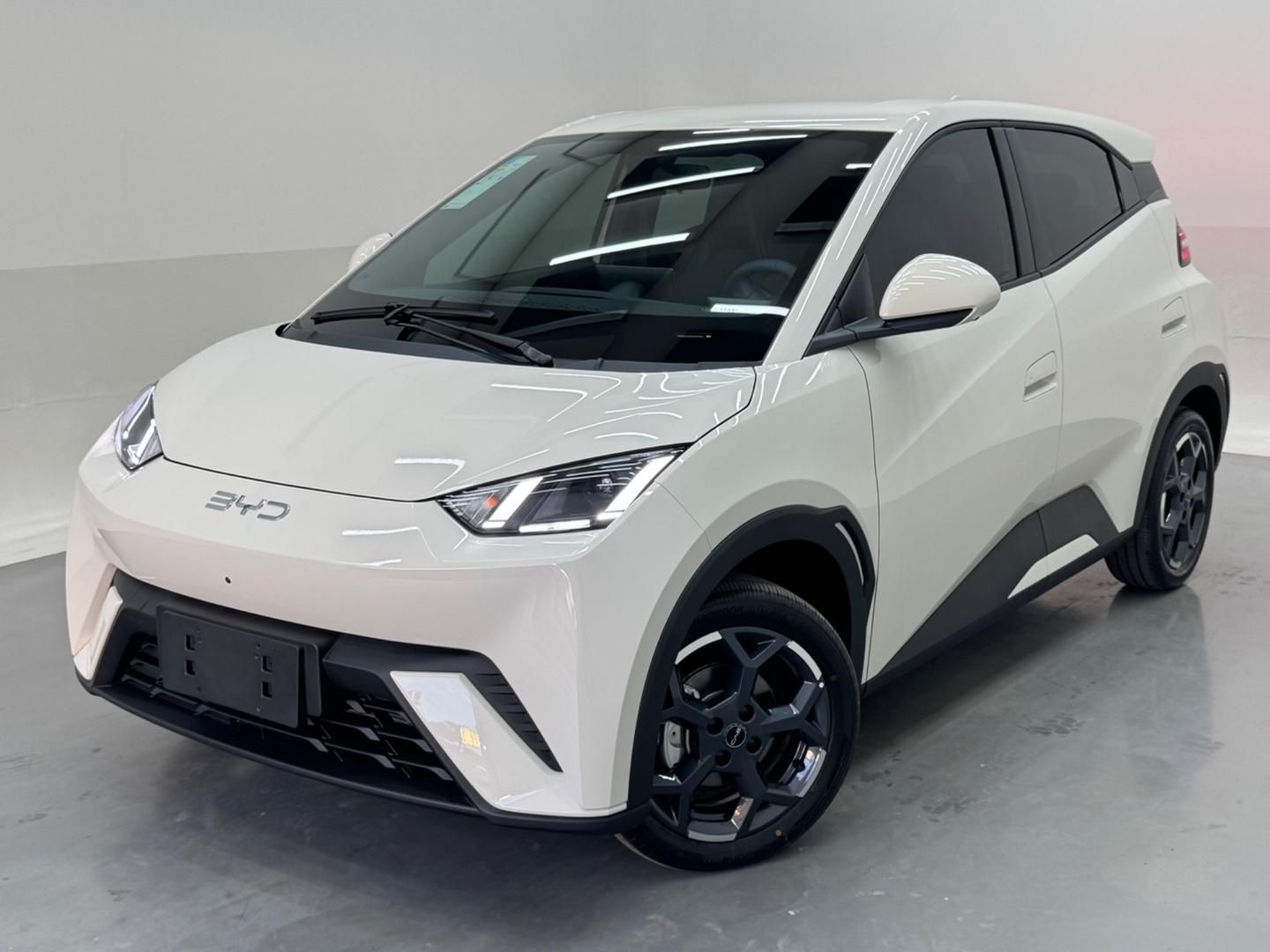 BYD Dolphin Mini GS EV 2027 - miniatura 3