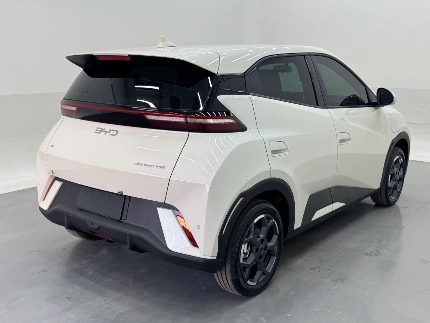 BYD Dolphin Mini GS EV 2027 - miniatura 8