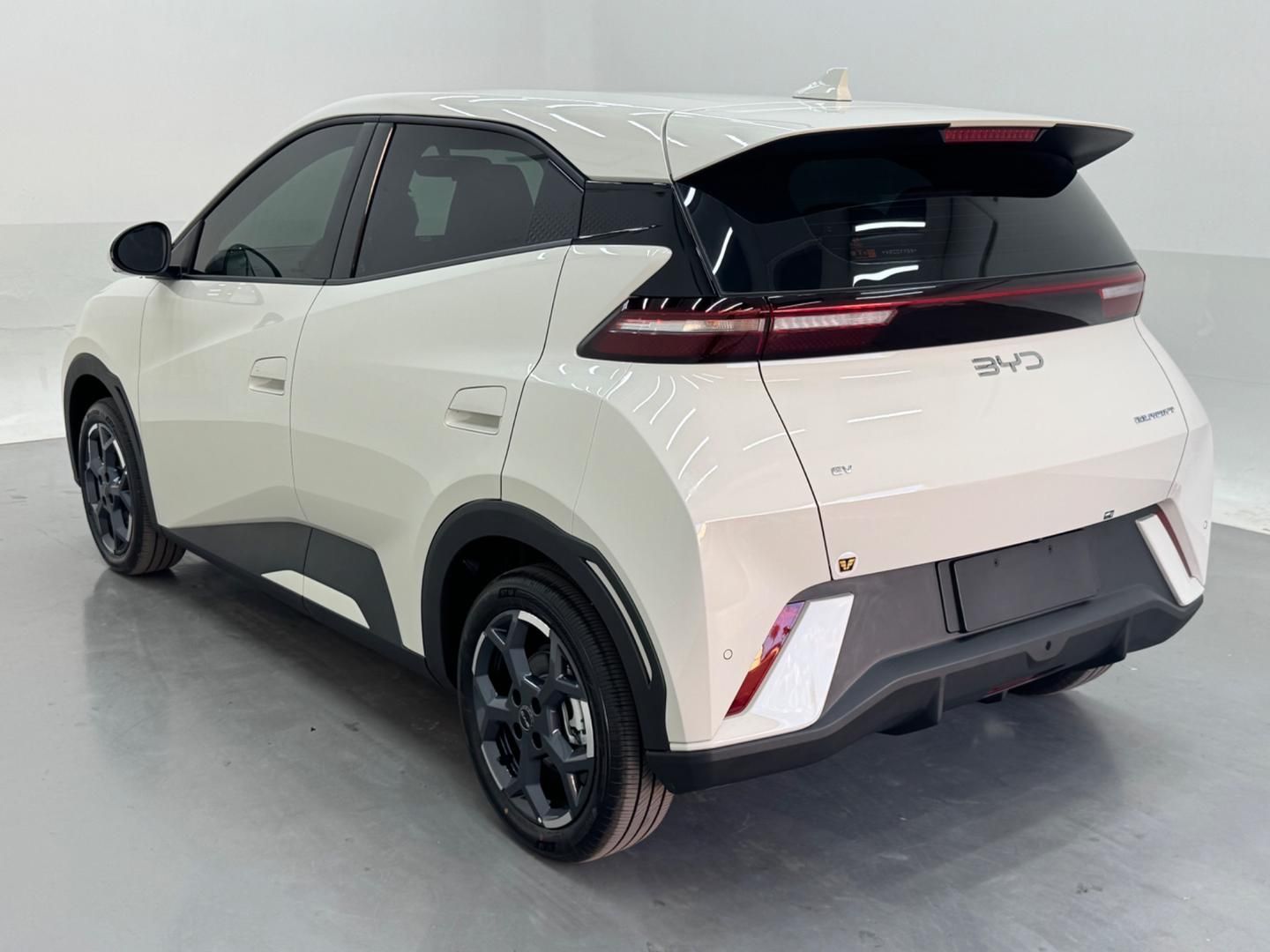 BYD Dolphin Mini GS EV 2027 - miniatura 10