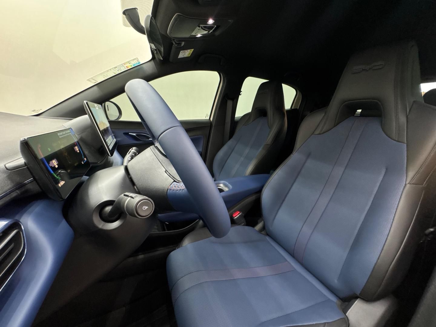BYD Dolphin Mini GS EV 2027 - miniatura 14