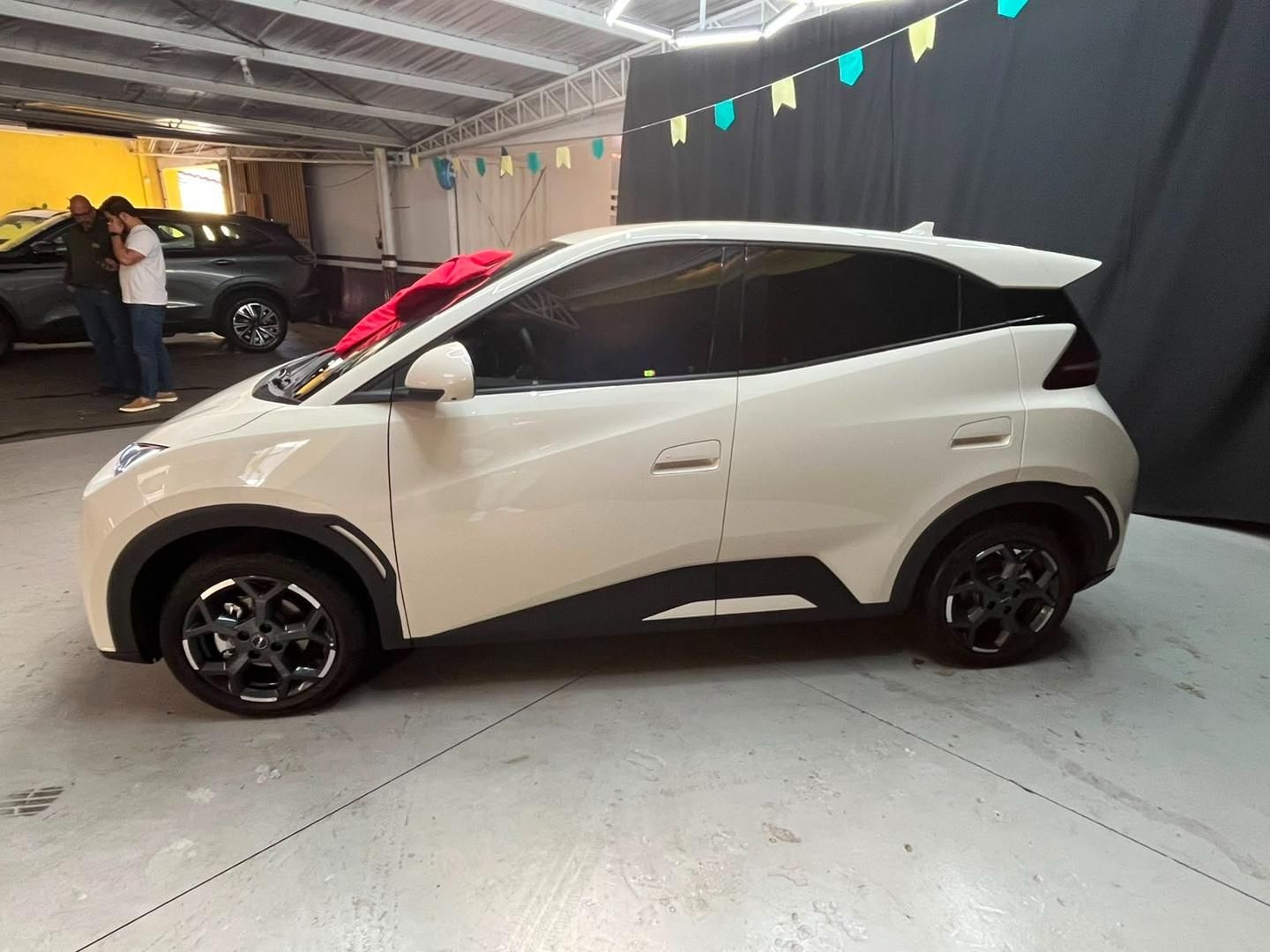 BYD Dolphin Mini GS EV 2027 - miniatura 4