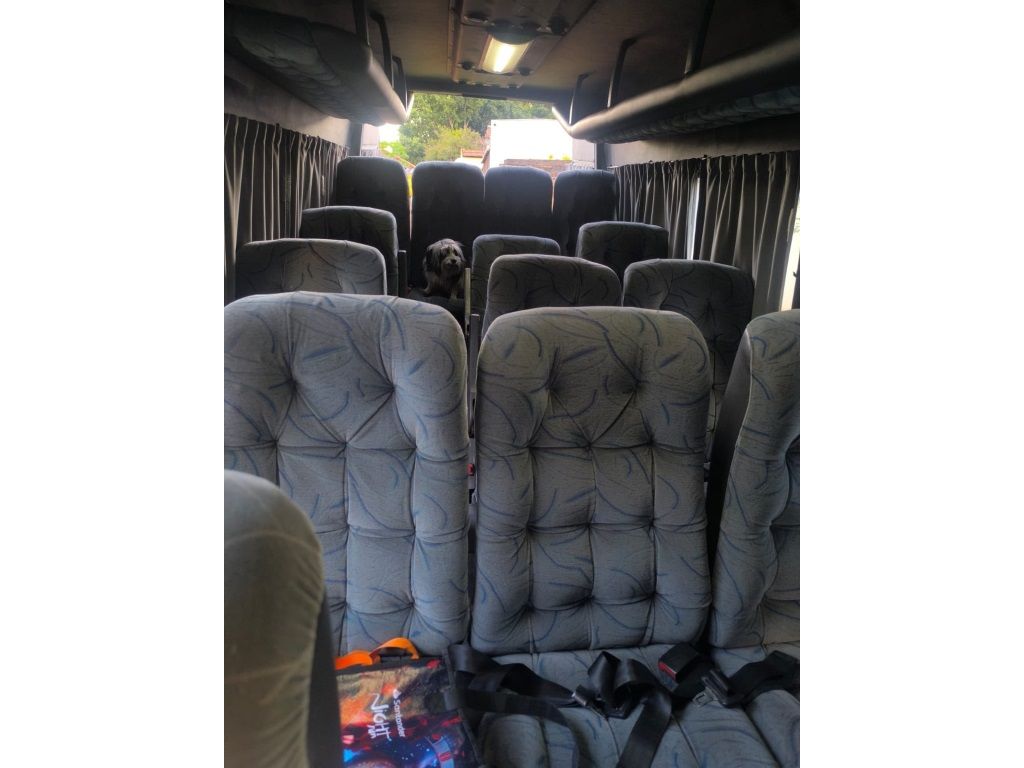 MERCEDES-BENZ Sprinter 313 Van Executiva 2.2CDI  2011 - miniatura 5