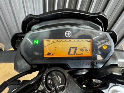 YAMAHA FZ25 250 Fazer 2024 - miniatura 7