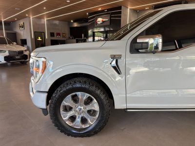 FORD F150 Platinum 5.0 V8 32v 4X4 C.D. 2023 - miniatura 2