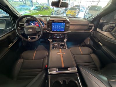 FORD F150 Platinum 5.0 V8 32v 4X4 C.D. 2023 - miniatura 7