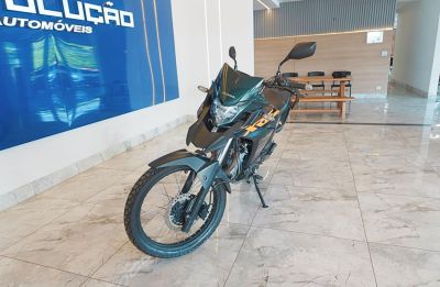 HONDA XRE 300 2019 - miniatura 3