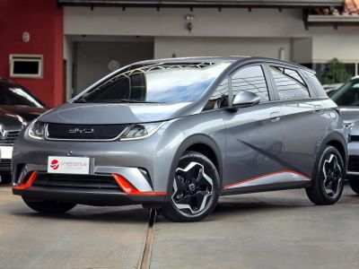 BYD Dolphin Mini GS EV 2024