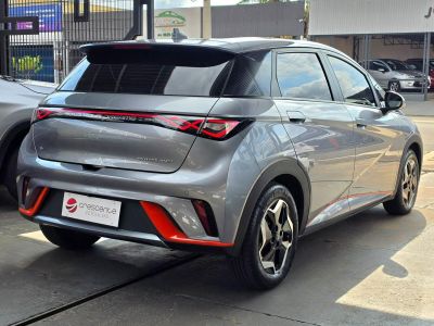 BYD Dolphin Mini GS EV 2024 - miniatura 6