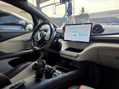 BYD Dolphin Mini GS EV 2024 - miniatura 12
