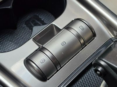 BYD Dolphin Mini GS EV 2024 - miniatura 23