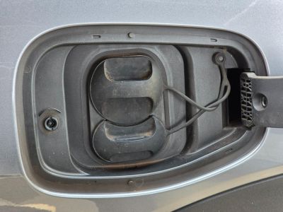 BYD Dolphin Mini GS EV 2024 - miniatura 36