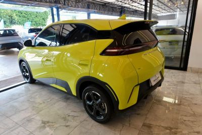 BYD Dolphin Mini GS EV 2025 - miniatura 7